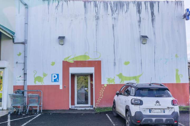 Vétérinaire de garde Martinique